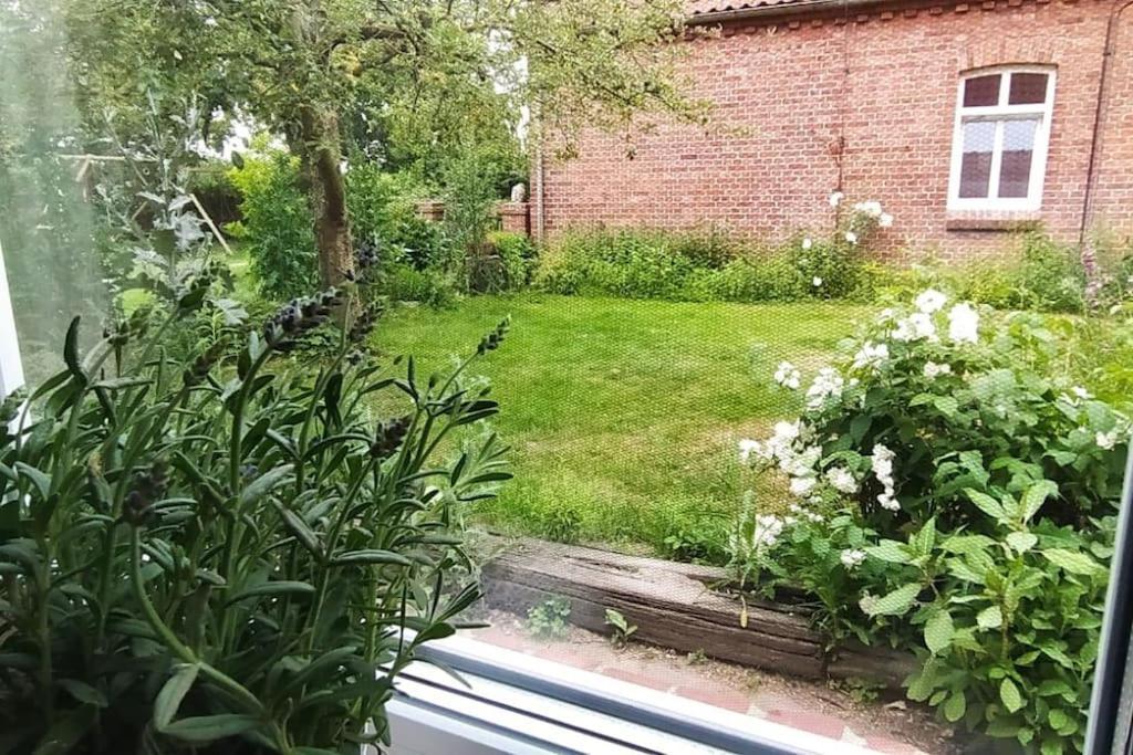 Fairschlafen - Gartenwohnung Buecken Exterior photo